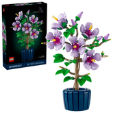 BOTANICALS - Hibiscus