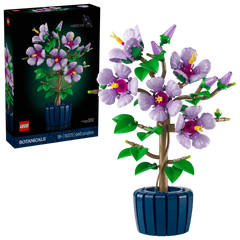 BOTANICALS - Hibiscus