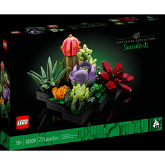 BOTANICALS - Succulents