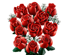 BOTANICALS - Bouquet of Roses