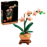 BOTANICALS - Mini Orchid