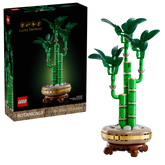 BOTANICALS - Lucky Bamboo