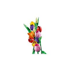 BOTANICALS - Tulip Bouquet