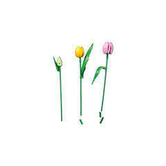 BOTANICALS - Tulip Bouquet