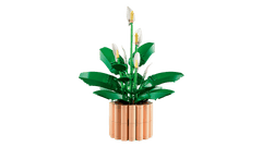 BOTANICALS - Peace Lily