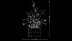 BOTANICALS - Peace Lily