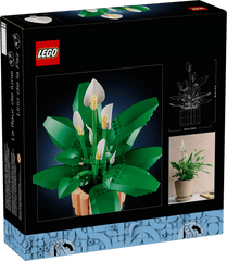 BOTANICALS - Peace Lily