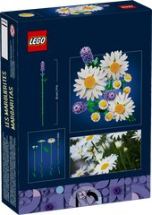 BOTANICALS - Daisies