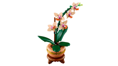 BOTANICALS - Mini Orchid