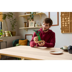 BOTANICALS - Lucky Bamboo
