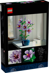 BOTANICALS - Hibiscus
