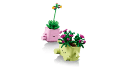 BOTANICALS - Rocking Plants