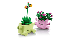 BOTANICALS - Rocking Plants