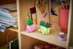 BOTANICALS - Rocking Plants