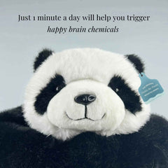 Pookie the Panda Weighted Animal