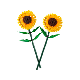 OTHER - Sunflowers