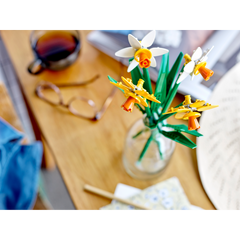 OTHER - Daffodils