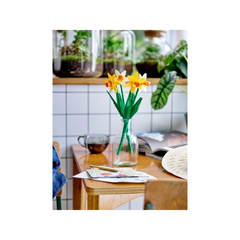 OTHER - Daffodils