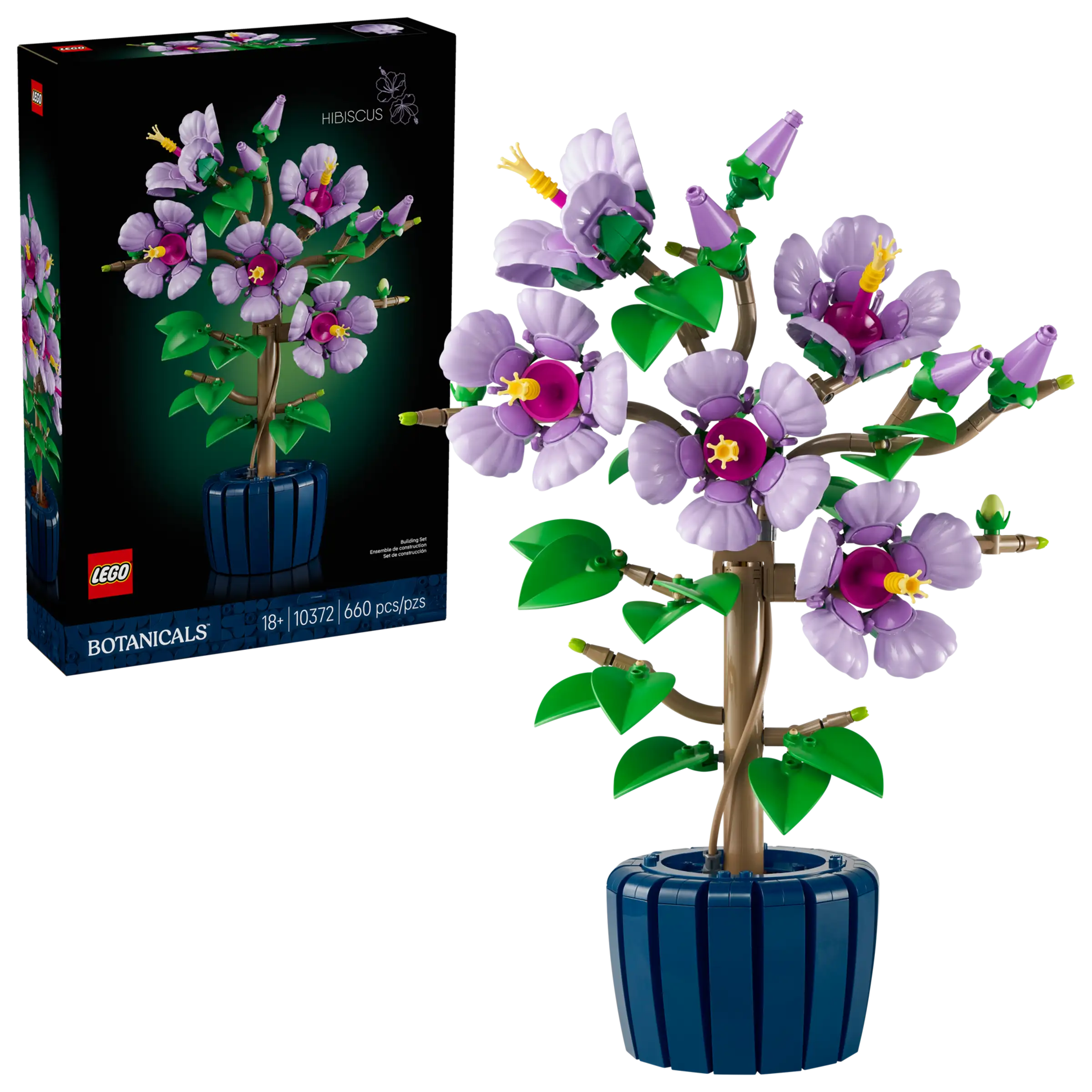 BOTANICALS - Hibiscus