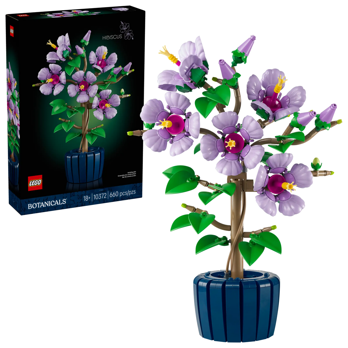 BOTANICALS - Hibiscus
