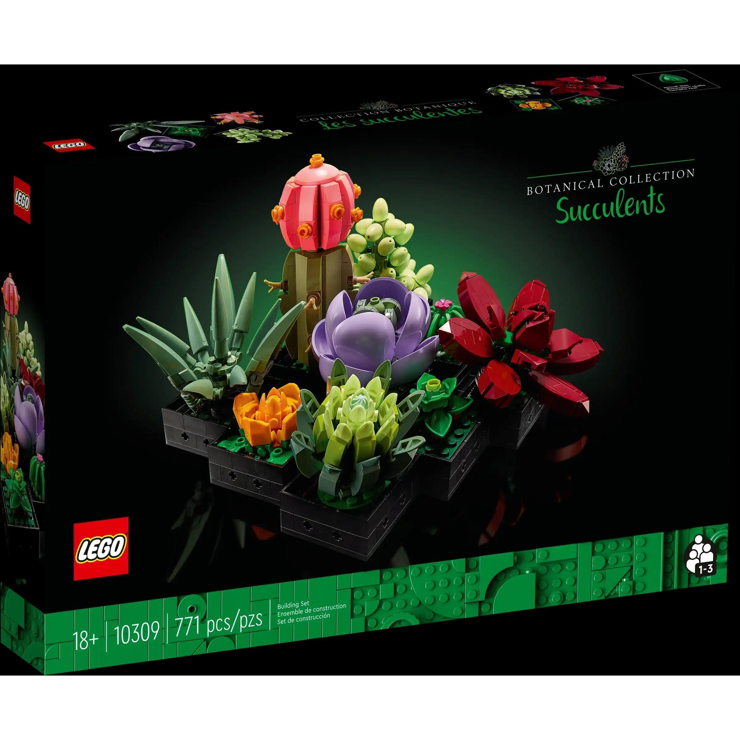 BOTANICALS - Succulents