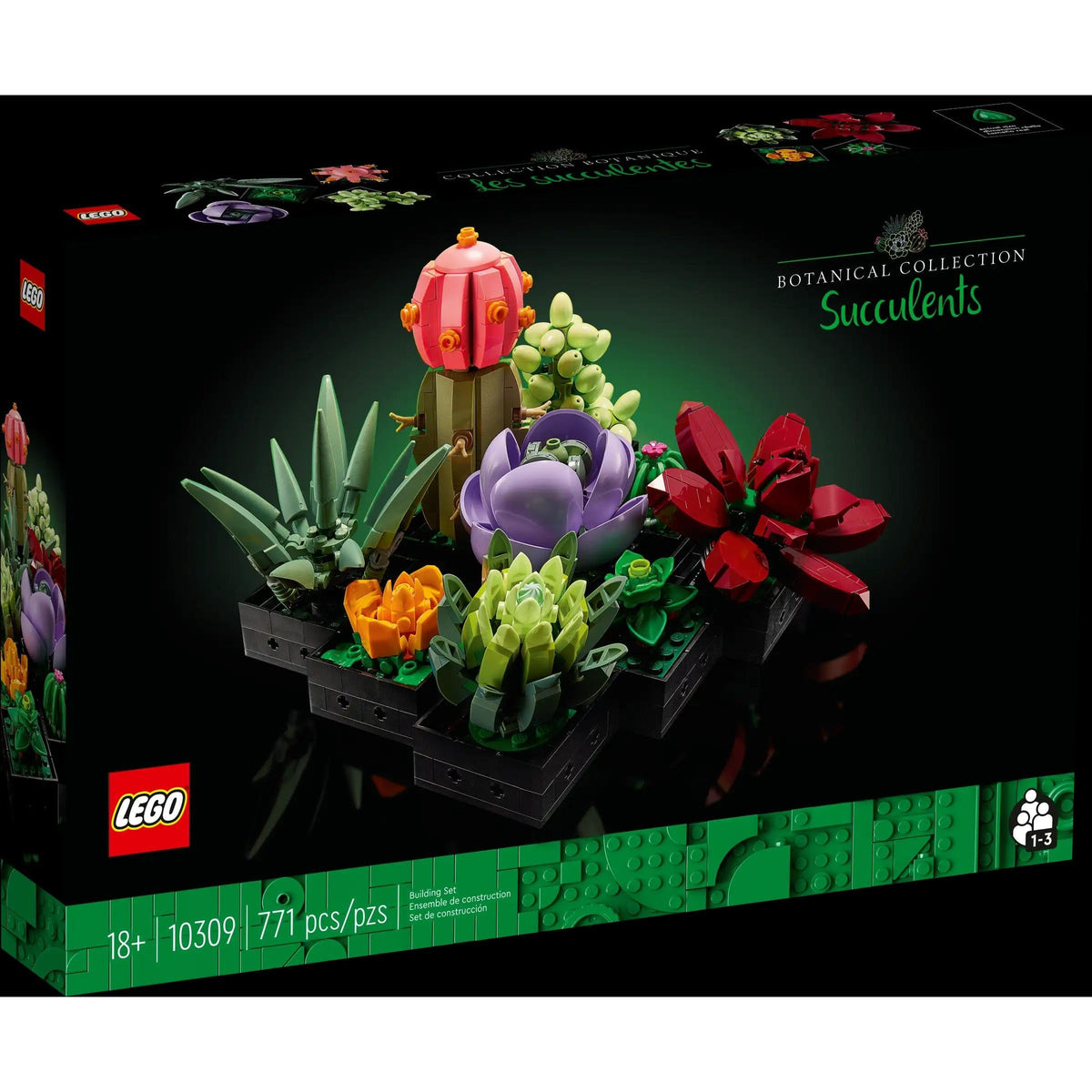 BOTANICALS - Succulents