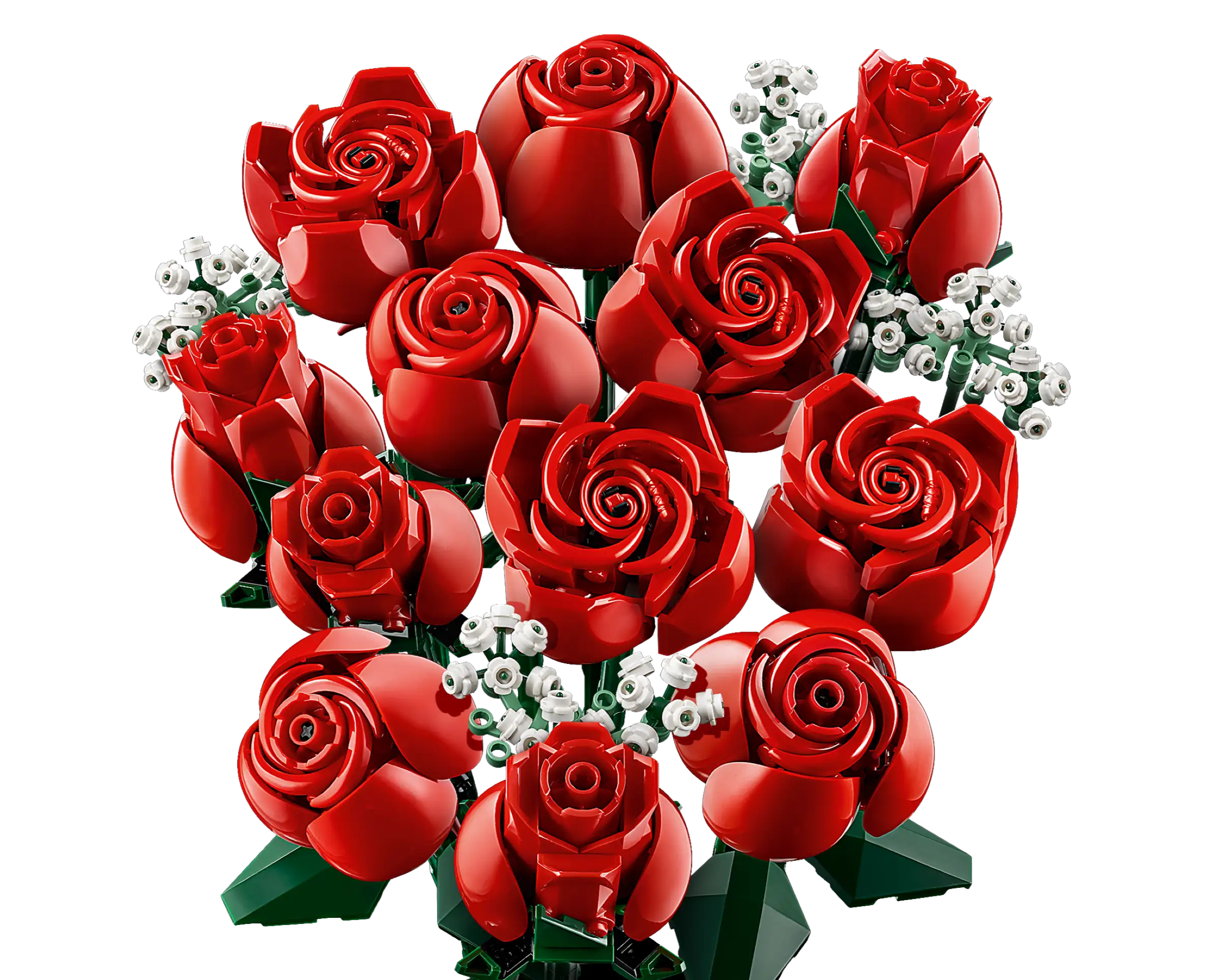 BOTANICALS - Bouquet of Roses