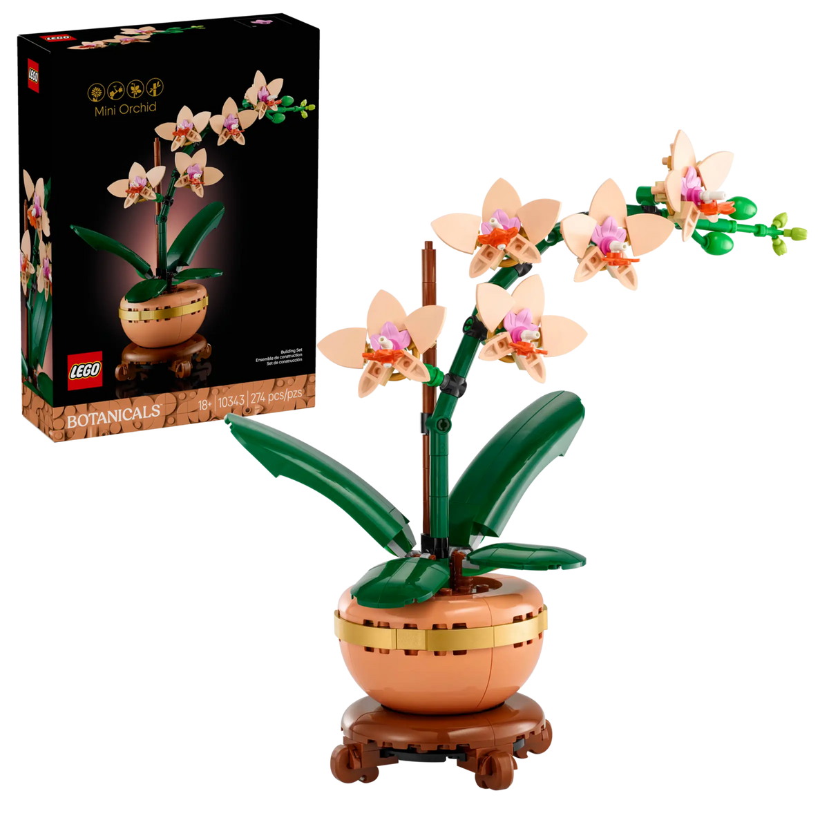 BOTANICALS - Mini Orchid