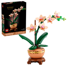 BOTANICALS - Mini Orchid