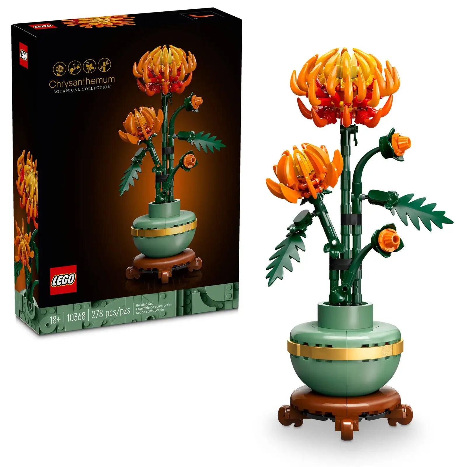 BOTANICALS - Chrysanthemum