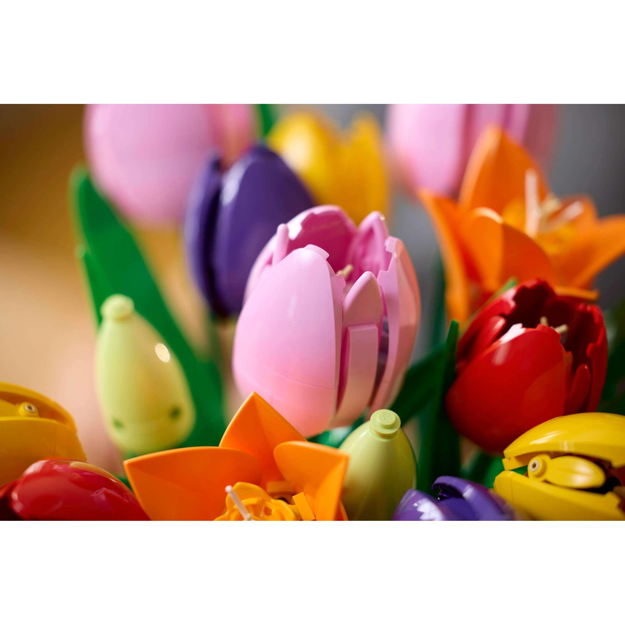 BOTANICALS - Tulip Bouquet