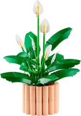 BOTANICALS - Peace Lily