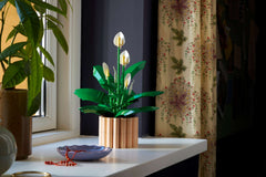 BOTANICALS - Peace Lily