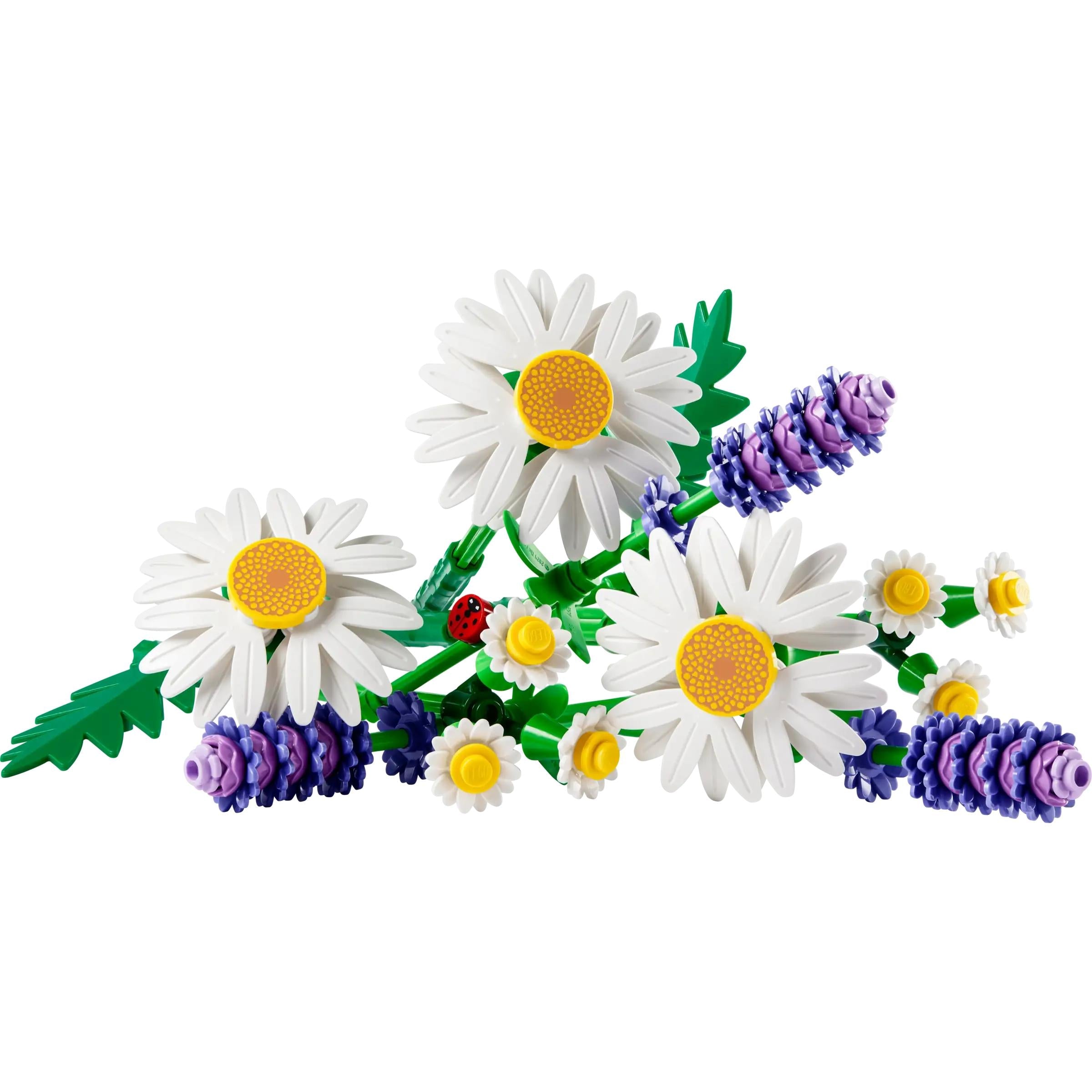 BOTANICALS - Daisies