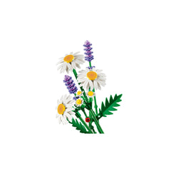 BOTANICALS - Daisies