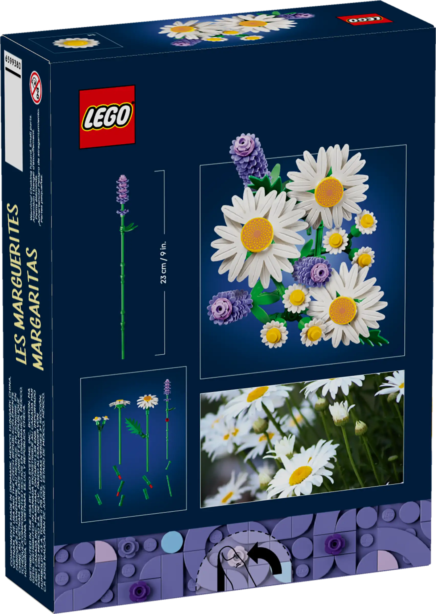 BOTANICALS - Daisies