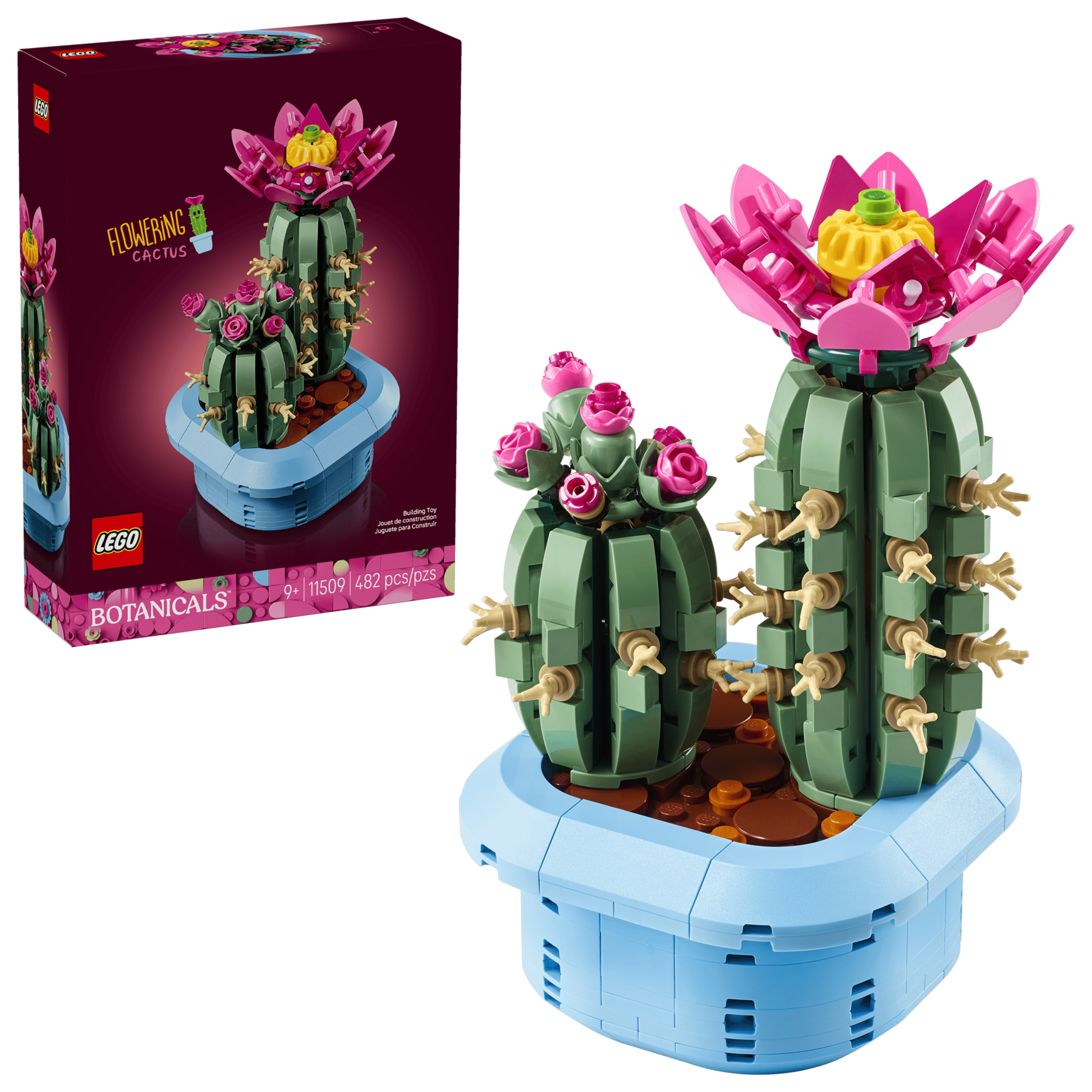 BOTANICALS - Flowering Cactus