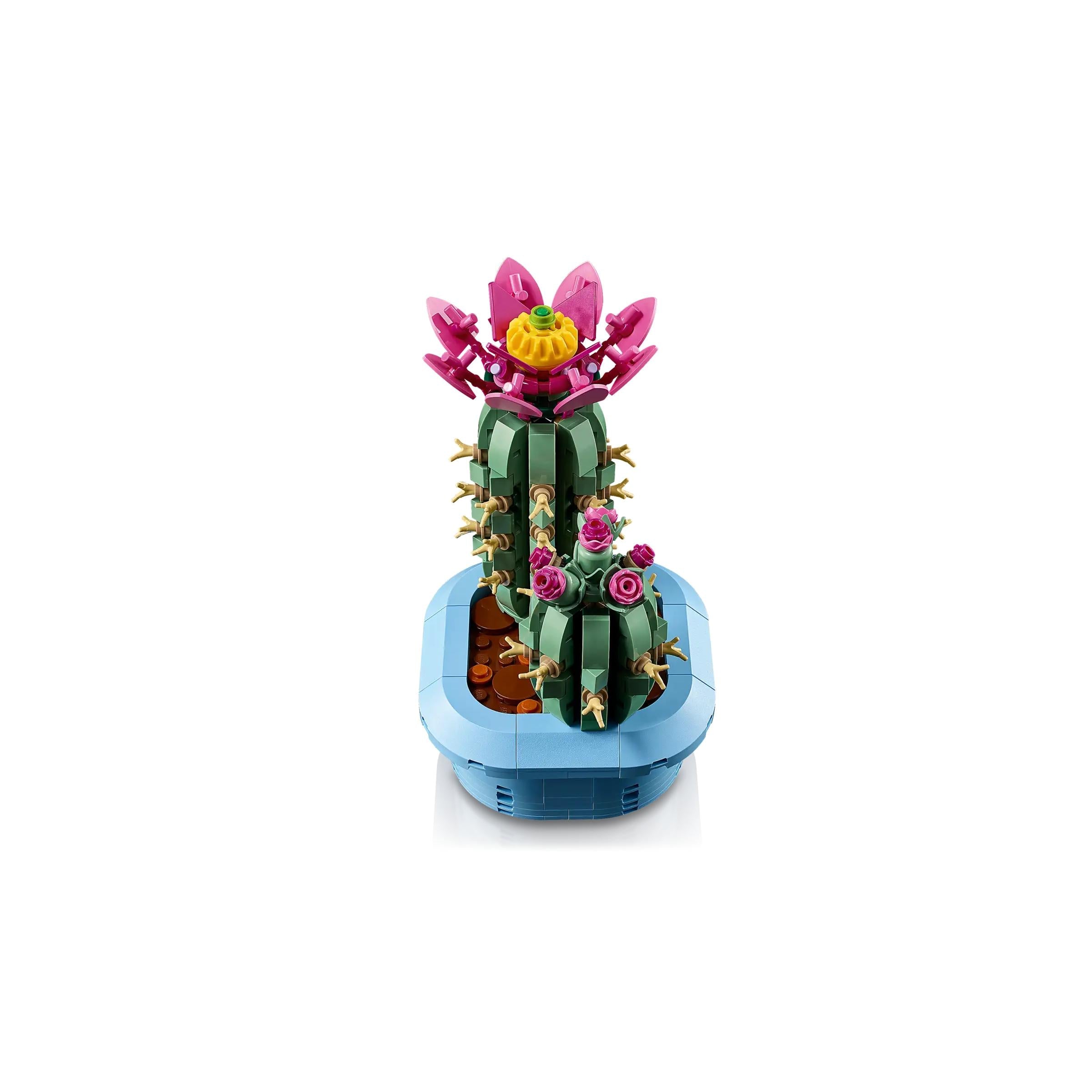 BOTANICALS - Flowering Cactus