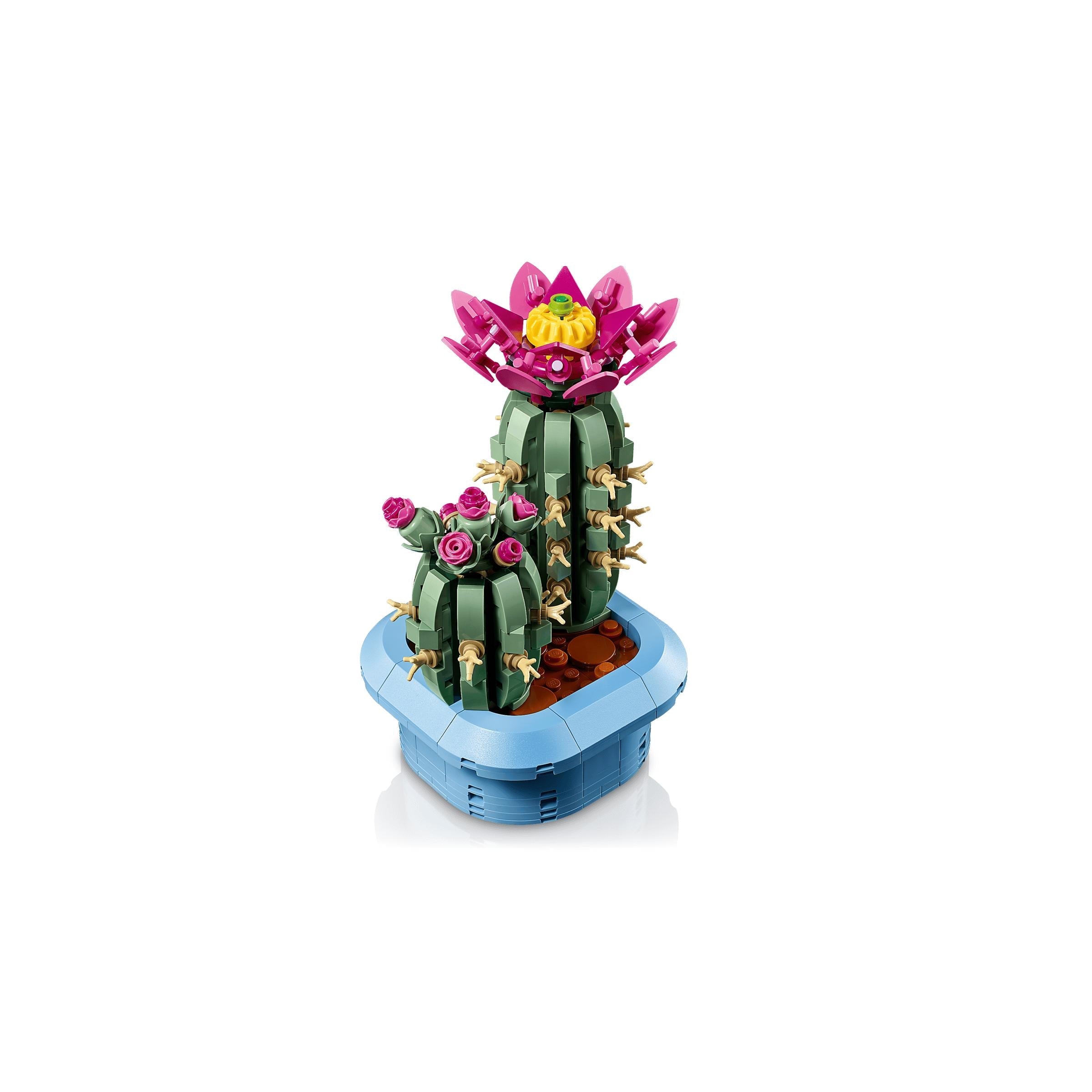 BOTANICALS - Flowering Cactus