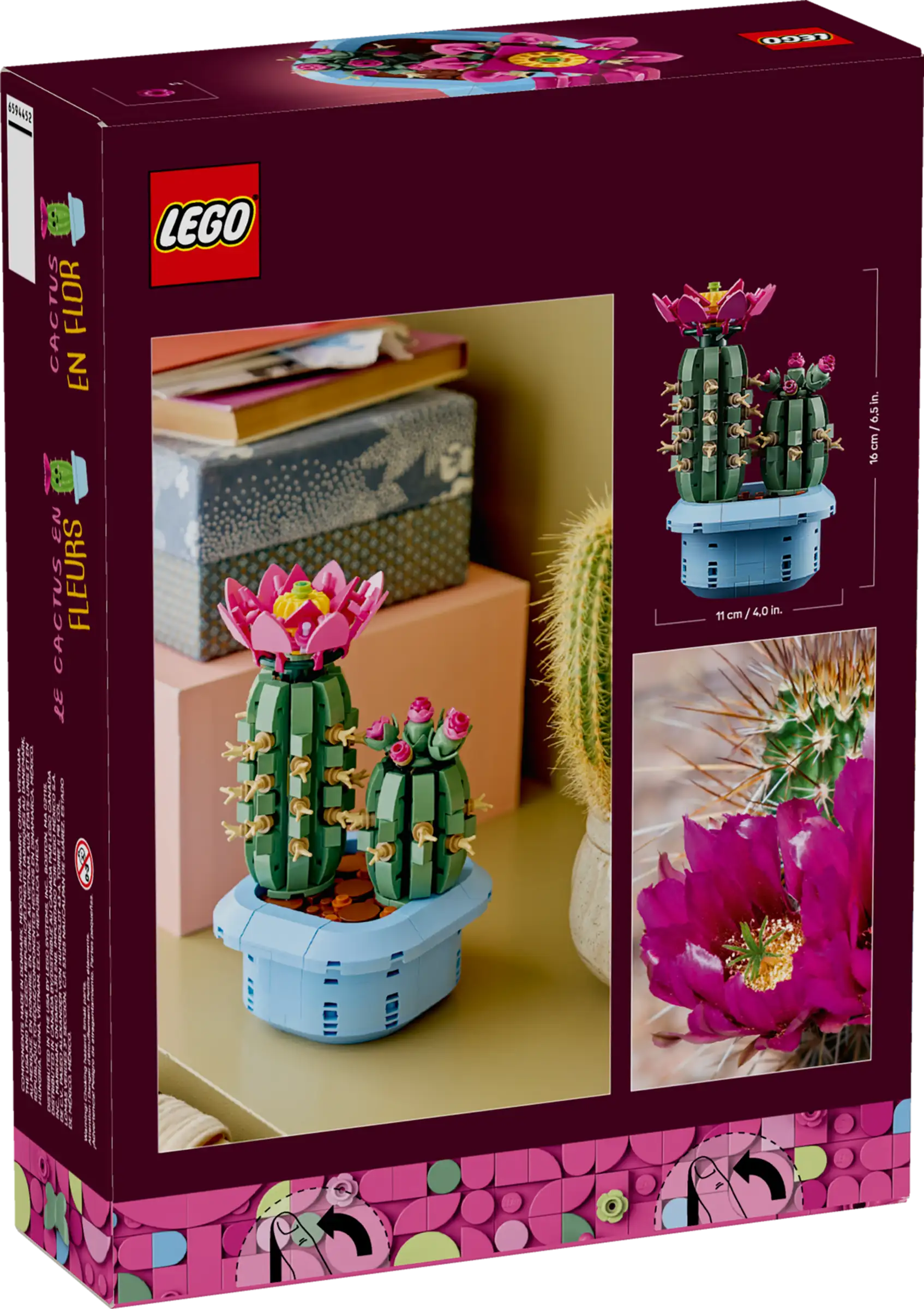 BOTANICALS - Flowering Cactus