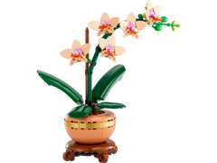 BOTANICALS - Mini Orchid