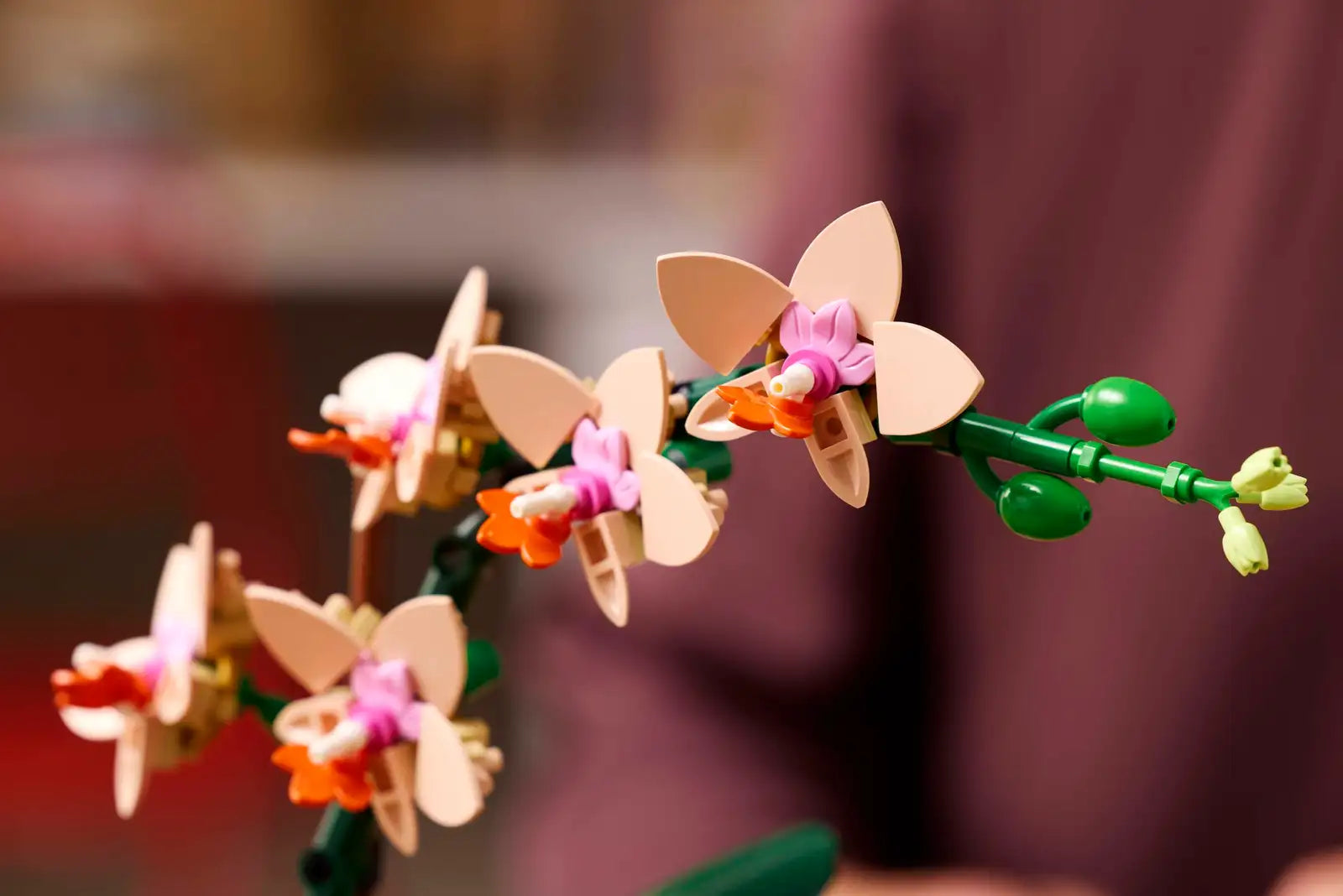 BOTANICALS - Mini Orchid