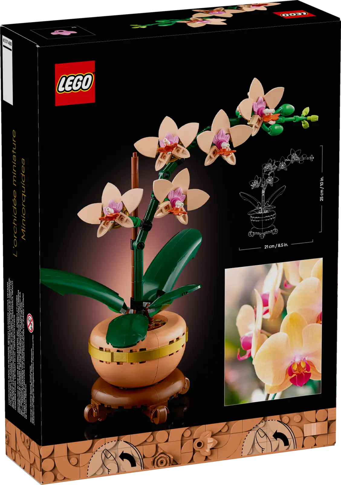 BOTANICALS - Mini Orchid