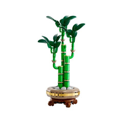 BOTANICALS - Lucky Bamboo