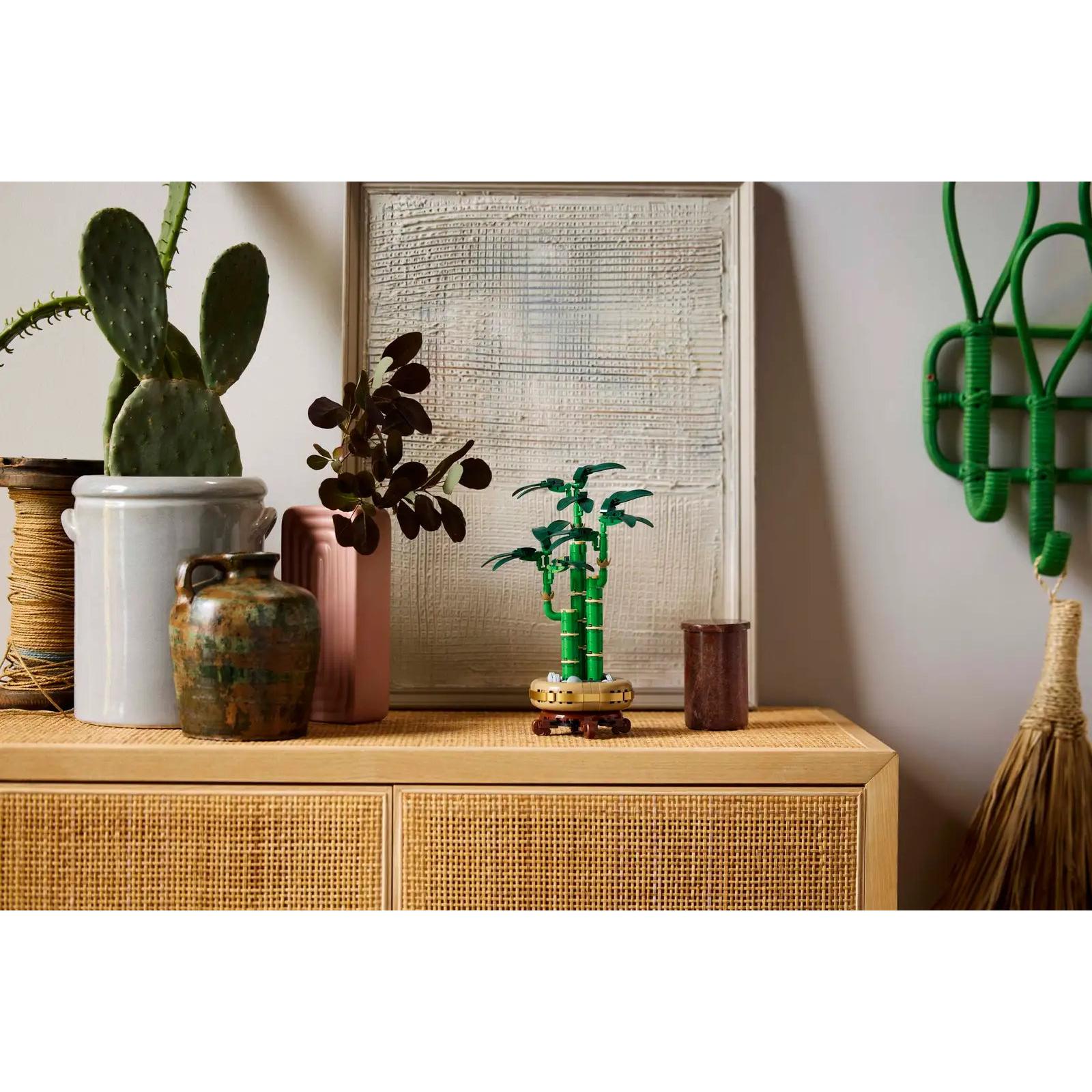 BOTANICALS - Lucky Bamboo