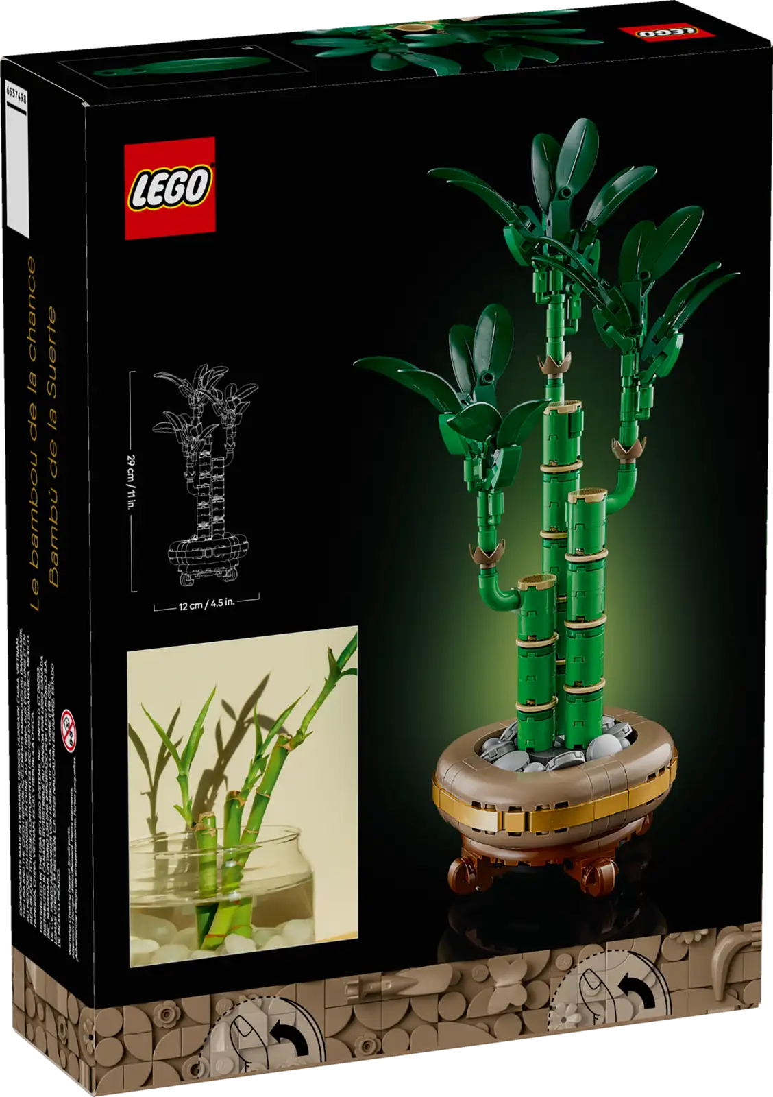 BOTANICALS - Lucky Bamboo