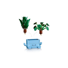 BOTANICALS - Happy Plants