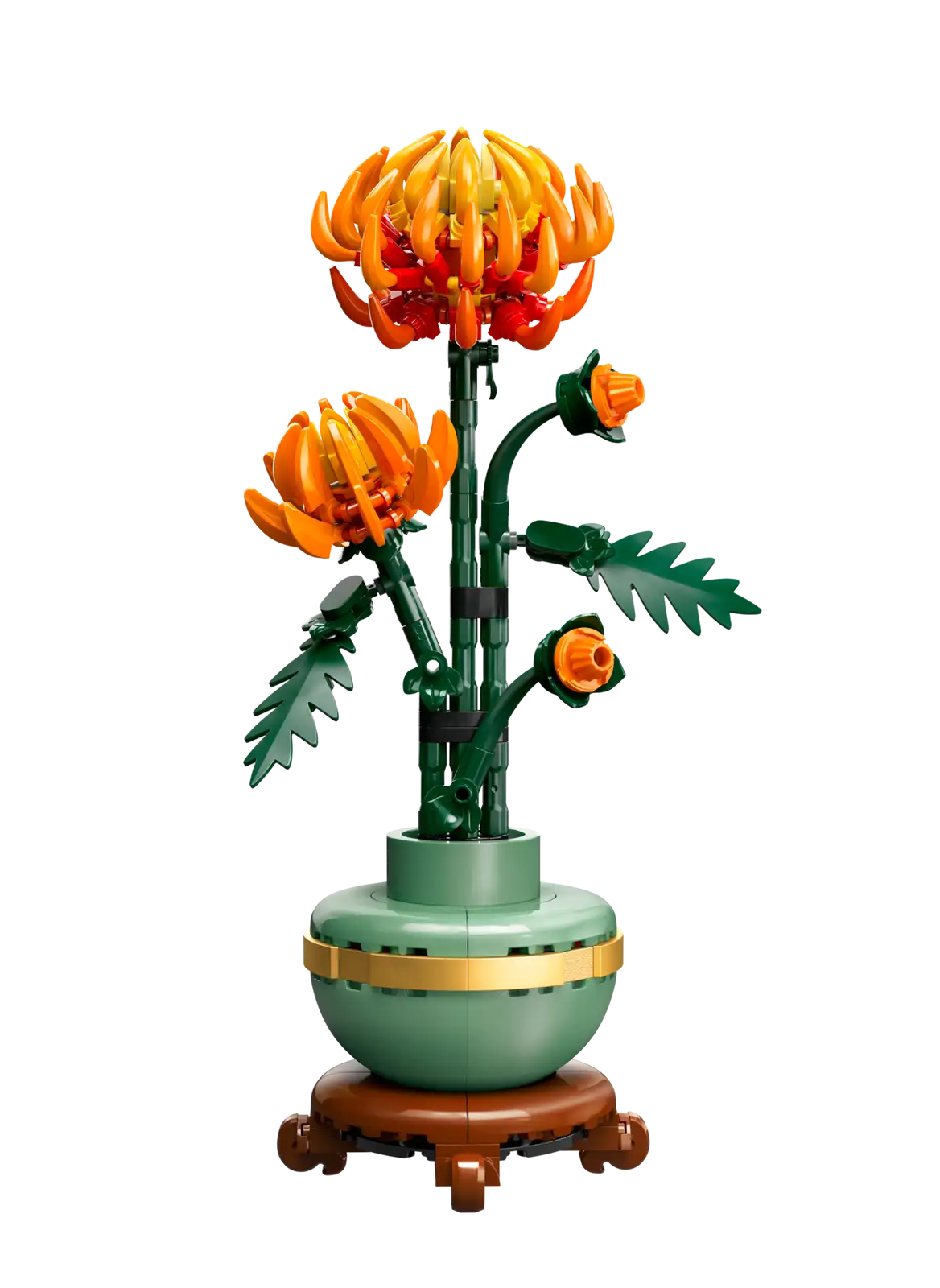 BOTANICALS - Chrysanthemum