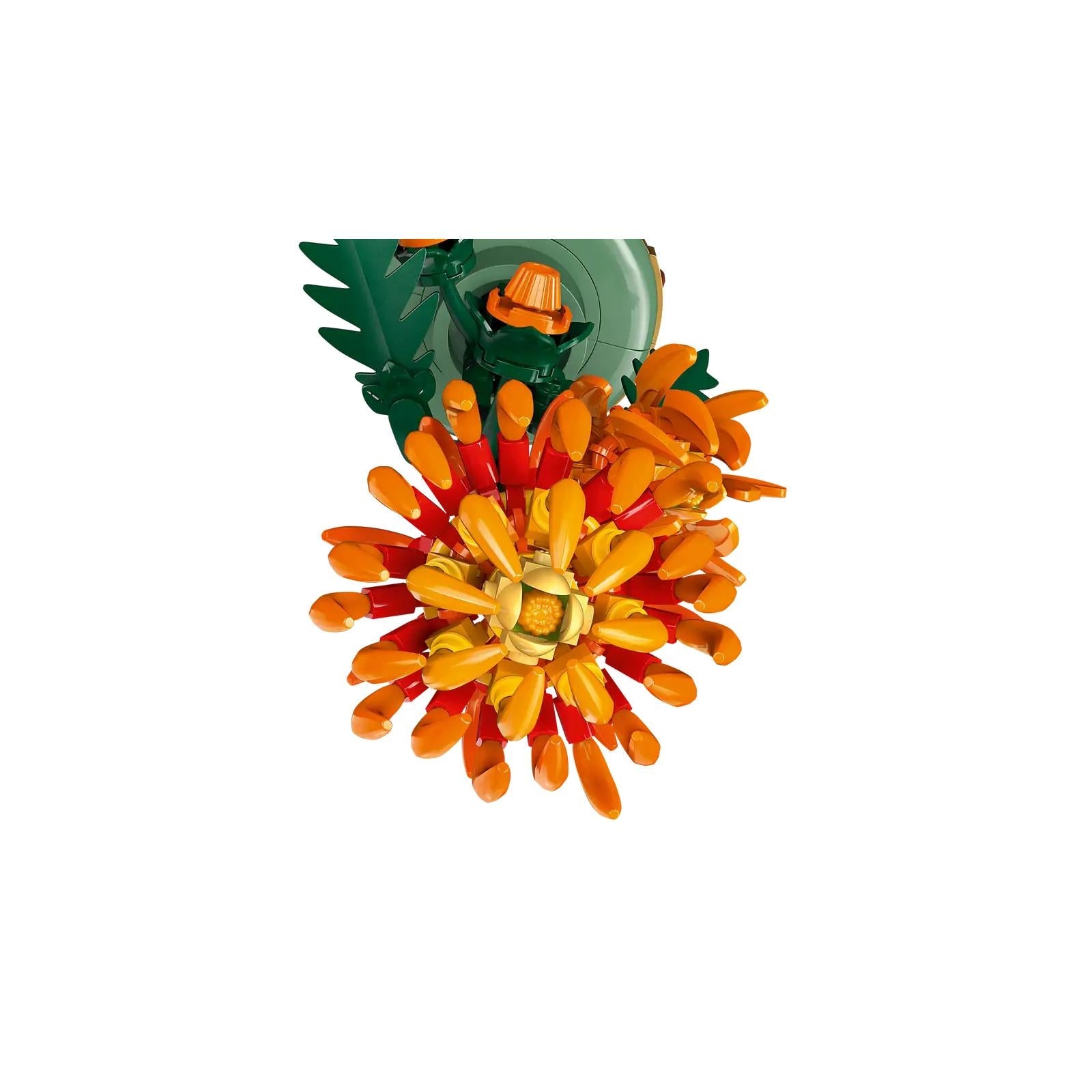 BOTANICALS - Chrysanthemum