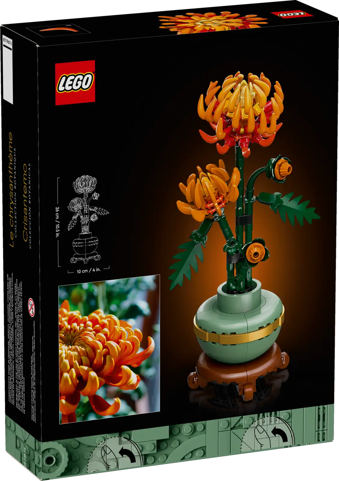BOTANICALS - Chrysanthemum